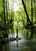 Nacimiento del Ebro en Fontibre  Cantabria