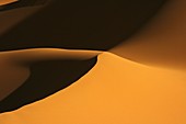 Dune in Oued Tin Tarabine  Tassili Ahaggar  Sahara desert  Algeria