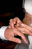 Close-up of bride and groom exchanging wedding rings