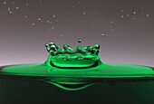 A drop of green water forming a coronet as it splashes into a glass full of liquid, backlit for contrast