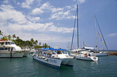 Yachts at Lahaina Harbour, Maui, Hawaii, USA, America