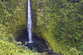 View at waterfall at Akaka Falls State Park, Big Island, Hawaii, USA, America
