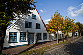 Straße im Herbst, Arnis, Schleswig-Holstein, Deutschland