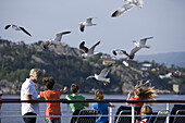 Feeding Seagulls from Deck of Cruiseship MS Astor, near Bergen, Hordaland, Norway, Europe