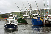 Blick auf Boote und Dingle Bucht, Dingle-Halbinsel, County Kerry, Irland