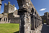 View of cloister of the Jerpoint Abbey, Kilkenny, Kilkenny County, Irland