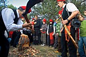 Pine festival, Centelles, Barcelona province, Catalonia, Spain