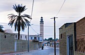 Tunisia Tozeur In background mosque Sidi Abdallah Bou Jemra
