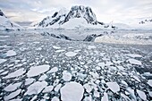 The Lindblad Expedition ship National Geographic Explorer transits Lemaire Channel in late evening light on the west side of the Antarctic peninsula in Antarctica  Lemaire Channel is a strait off Antarctica, located between the mainland´s Antarctic Penins