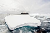 The Lindblad Expedition ship National Geographic Explorer operating in and around the Antarctic peninsula in Antarctica  Lindblad Expeditions pioneered expedition travel for non-scientists to Antarctica in 1969 and continues as one of the premier expediti