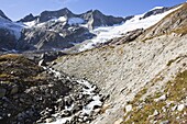 The glacier Simonykees in the National Park Hohe Tauern is retreating rapidly  the glacier snout is flat and new roche moutonnee are distinguishable by the fresh reddish color  A creek is flowing out of the snout of the glacier  Ablation and accumulation