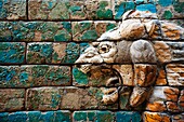 Detail of Babylonian ceramic lion on Processional way Pergamon Museum on Museumsinsel in Berlin Germany