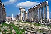 Roman city Apamea, Syria