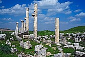 Roman city Apamea, Syria