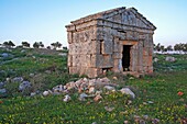 Byzantine town Serjilla 3-6 cent , Syria