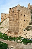 Aleppo citadel, Syria