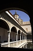 Santa Cruz Museum, Toledo, Castile La Mancha, Spain