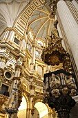 Cathedral, Granada, Andalusia, Spain