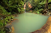 The thermal pool in Caldeira Velha Natural Monument  Sao Miguel island, Azores, Portugal