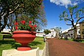 Antero de Quental park, in the city of Ponta Delgada, Azores islands, Portugal