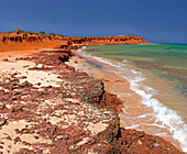 François Péron N P , Shark Bay, Western Australia