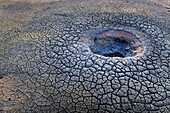 Dried mud pool at Theistareykir, Iceland