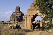 Myanmar  Burma), Bagan  Pagan), guide and tourist in horse cart passing thru gate, Tayok Pye Temple in background