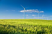 wind turbines at sunset. Near Sanlucar de Barrameda, Cadiz province, Spain, Europe