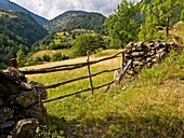 Valla de madera y cercados de piedra en los prados de siega de la ribera del río Cinqueta en Gistaín - Sobrarbe - Huesca - Pirineo Aragonés - España