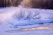 Winter river