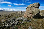 afromontane landscape on Sanetti Plateau, Bale Mountains National Park, Oromia, Ethiopia, Africa