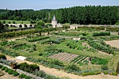 France, Chançay 37  Valmer castle´s gardens