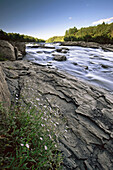 River-and-flowers