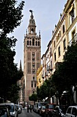 Giralda Tower, Sevilla, Andalucía, Spain, Europe october-2009