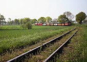The Narrow-Gauge Railway, Museum, Wenecja, Wielkopolska, Poland