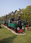 Narrow-Gauge Railway, Museum, Wenecja, Wielkopolska, Poland