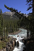 Canada, Alberta, Jasper National Park, Sunwapta River Falls