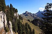 Switzerland, Bernese Oberland, mountain landscape at Schynige Platte