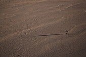 Frau läuft in Wüste, Sudan, Afrika
