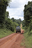 Geländewagen auf einer Lehmpiste zwischen Bäumen, Tansania, Afrika