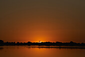 Sunset at chobe river, Chobe National Park, Botswana, Africa