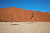 Frau liegt auf dem Boden, Salzsee mit toten Bäumen, Namib Naukluft Park, Sossusvlei, Namibia, Afrika