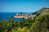 Blick auf die Altstadt, Dubrovnik, Dalmatien, Kroatien
