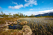 Landschaft bei Björkliden, Lappland, Nordschweden, Schweden