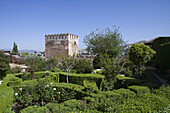 Gardens of Alhambra Palace in the sunlight, Granada, Andalucia, Spain, Europe