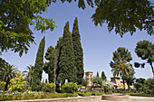 Gärten am Alhambra Palast im Sonnenlicht, Granada, Andalusien, Spanien, Europa