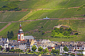 Zell on Mosel, Zeller Schwarze Katz, Mosel, Rhineland-Palatinate, Germany, Europe