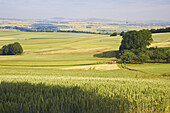 Landscape at Münstermaifeld, Eifel, Rhineland-Palatinate, Germany, Europe