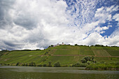 Blick von Pünderich auf die Marienburg, Mosel, Weinanbaugebiet, Rheinland-Pfalz, Deutschland, Europa