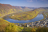Horse-shoe bend of the river Mosel with Bremm, Wine district, Rhineland-Palatinate, Germany, Europe